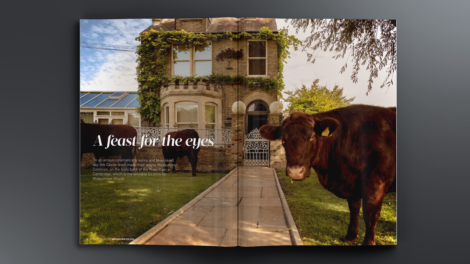 Magazine spread ‘A feast for the eyes’ showing an ivy-covered house with cows grazing on the lawn