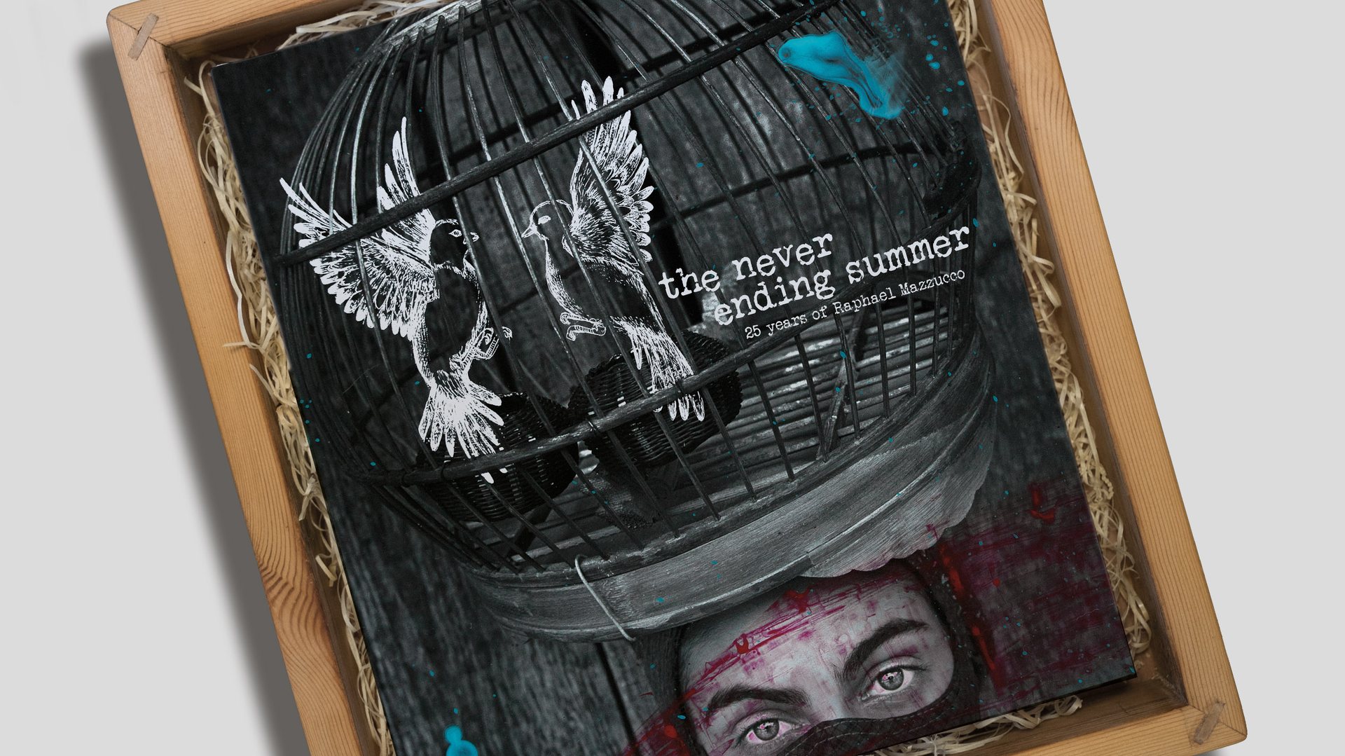 Limited-edition box lid showing The Never-Ending Summer artwork of birds in a cage above a pair of eyes