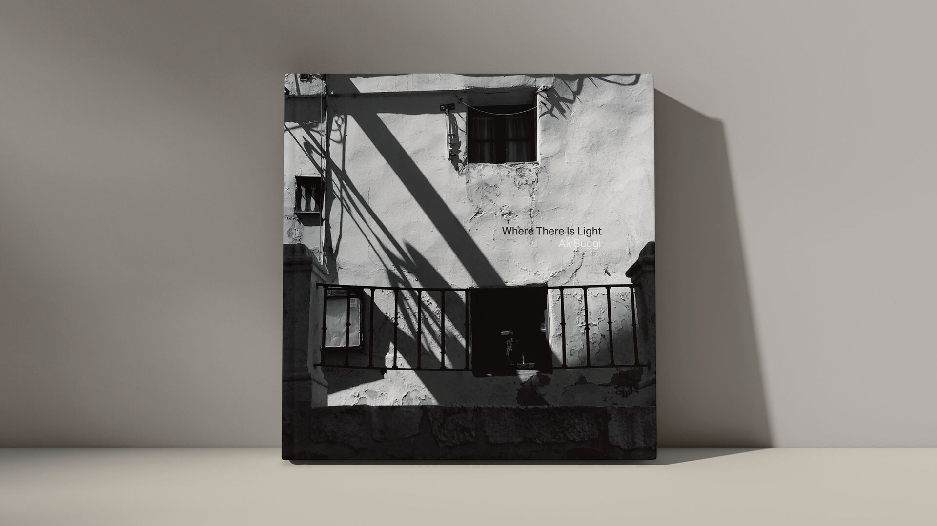 The Where There Is Light photographic book, propped up against a wall